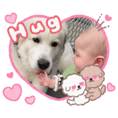 ayasan_20260303202620