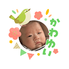 JIJIKO_20260303210151