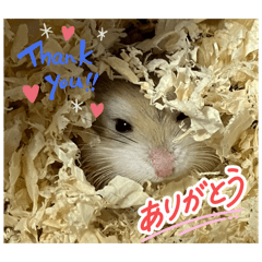 mememe_20260303205940