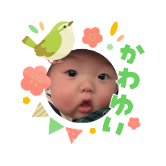 saoringo_20260303212630