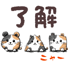 matamata1424_20260303215126