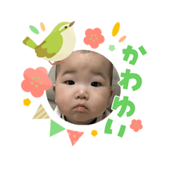 RIHO_20260303215410