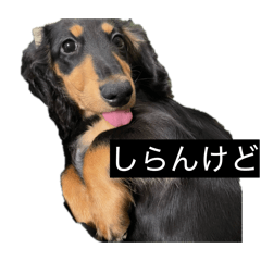 fukuda_20260303213819