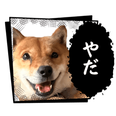 jumbo_20260303231046