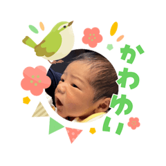 waaaaaai_20260303210435