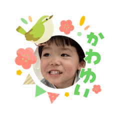 Shigeru_Sota 202603