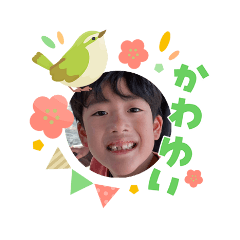 blueboo_20260304002228