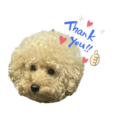 hi-ko_20260304103257