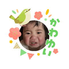 Chicchi_20260304104545