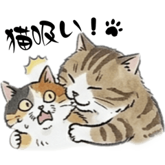 shark_20260228201740