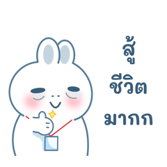 ปุยฝ้าย : กระต่ายทำงานสู้ชีวิต