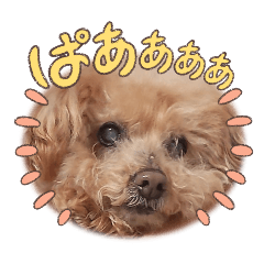 atomu_20260304000608