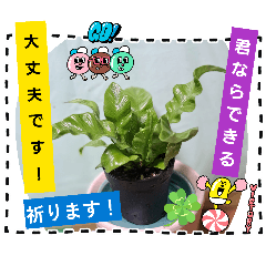 toshiaki_20260303235211