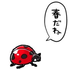 talking ladybug