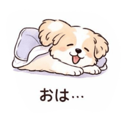 tabasa_20260303171336