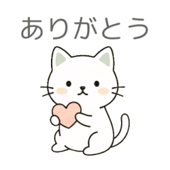 Minimalist White Cat: Soft & Daily