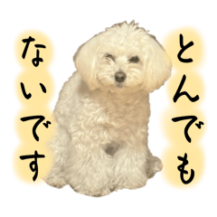 naoco_20260303183709