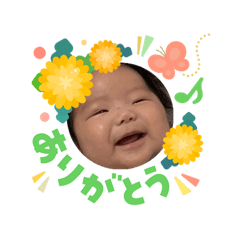 Matsu_20260303195655