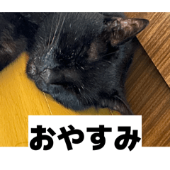 0yhouncheese_20260304015650