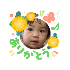 Lisacco_20260304073615