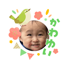 SatoshiAM_20260303222900