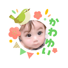 aomama_20260303223601