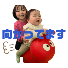 miya_20260304034740