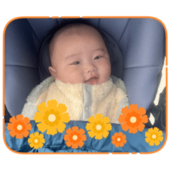 kaimomo_20260303211658