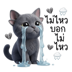 ไมดาส, เหมียวน้อยสี่หูน่ารัก