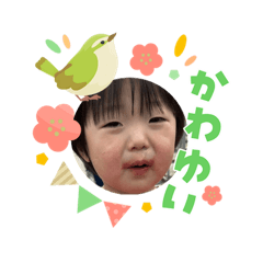 chiyomi_20260303232630