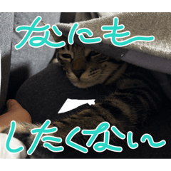 Yuka_20260303230425