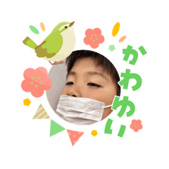OTOFU_20260304115033