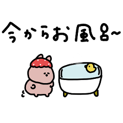 Only the rabbit. End of conversation.