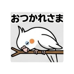 DreamWater_20260304021334