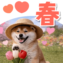 飛び出す♡春のほんわかシバちゃん