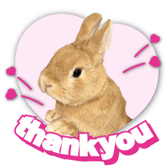 life with Jasmine chan