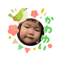 chiyomi_20260303220613