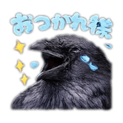 Bocchi_20260304092448