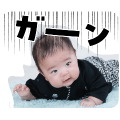 matsu_20260304092134