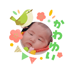 suzumasa_20260304111745