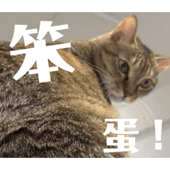 西水