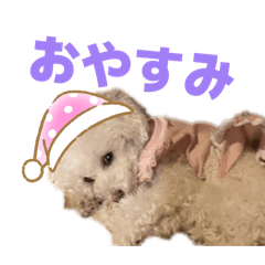 K_20260302223107