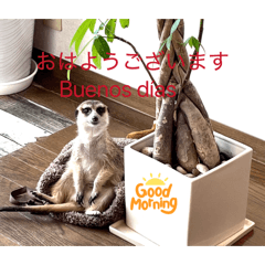 Hichan_20260301135444