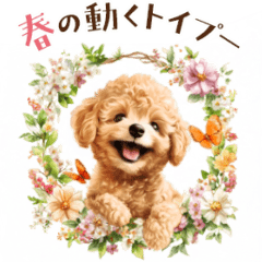 春♡動くトイプードルの毎日アニメーション