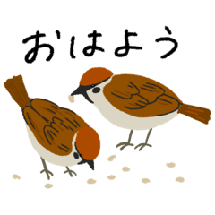 Adorably Fluffy Bird Stickers