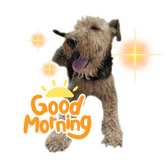 onichan_20260304112754