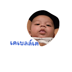 plang_20260304104405