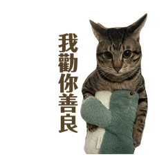 Bu可思議