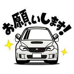 cool rally car(2007's)