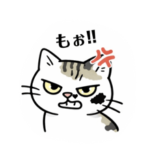 yorino_20260303212745